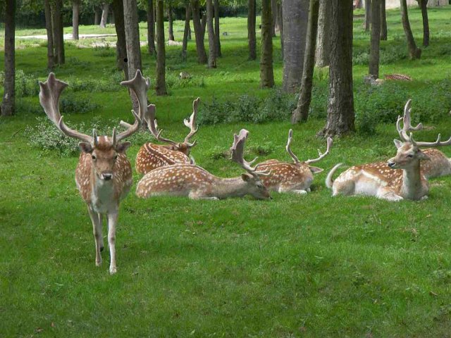 COTE VOISINS (2).jpg